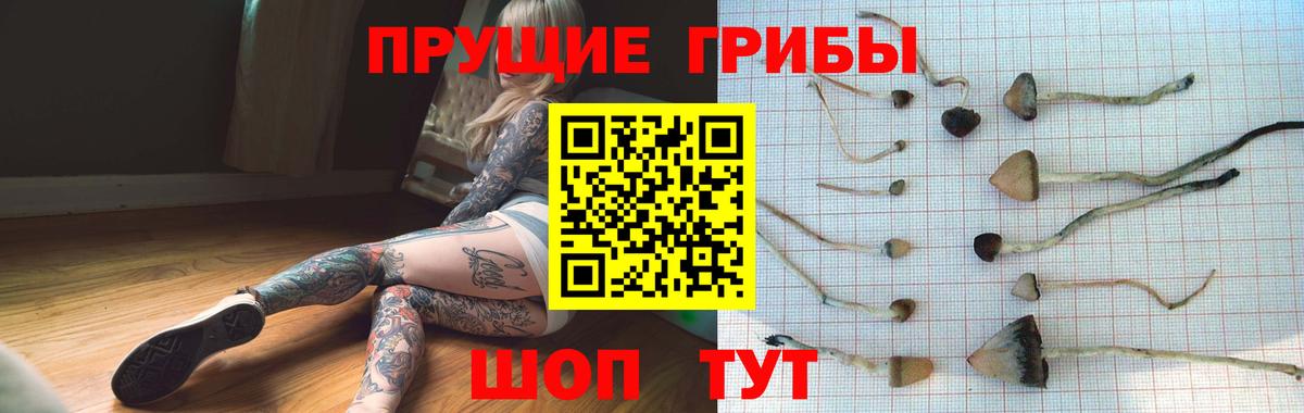 Галлюциногенные грибы прущие грибы  Вход с VPN  Обнинск 
